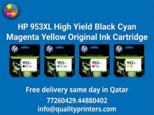 1766384118521 019b44b2 5c96 7ff7 8816 0333e275dea0 1